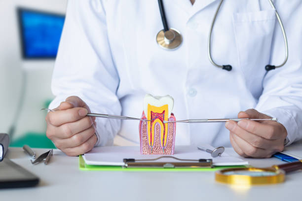 Best Pediatric Emergency Dentist in Woodmore, MD